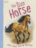 Horse Stories-the Dun Horse