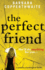 The Perfect Friend: a Gripping Psychological Thriller