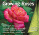 Growing Roses: Plan, Plant and Maintain (Digging and Planting)
