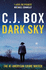 Dark Sky: 21 (Joe Pickett)