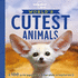 World's Cutest Animals 1ed-Anglais-
