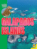 Galapagos Islands Natural Wonders of the World