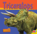 Triceratops