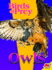 Owls (Birds of Prey)