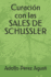 Curacin con las SALES DE SCHUSSLER