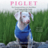 Piglet: the Unexpected Story of a Deaf, Blind, Pink Puppy and His Family