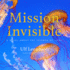 Mission Invisible: a Novel About the Science of Light (the Science and Fiction Series)