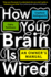 How Your Brain is Wired