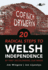 20 Radical Steps to Welsh IndependenceBy First Decolonising Our Minds