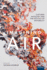 Imagining Air: Cultural Axiology and the Politics of Invisibility