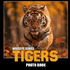 Tigers-the Photo Book
