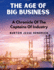 The Age Of Big Business: A Chronicle Of The Captains Of Industry