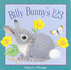 Billy Bunny's 123 (Maurice Pledger Animals Friends)