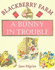 A Bunny in Trouble (Blackberry Farm Books) (Little Books)