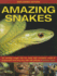 Exploring Nature Amazing Snakes an Exciting Insight Into the Weird and Wonderful World of Snakes and How They Live, With 190 Pictures