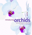 Introducing Orchids