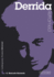 Derrida Reframed: Interpreting Key Thinkers for the Arts (Contemporary Thinkers Reframed)