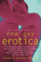 Mammoth Book of New Gay Erotica