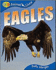 Eagles (Qed Animal Lives S. )