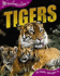 Tigers (Qed Animal Lives)