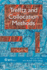 Trefftz and Collocation Methods, Hb