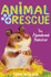 The Abandoned Hamster: 7 (Animal Rescue (7))