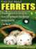 Find Out About Ferrets: the Complete Guide to Turning Your Ferret Into the Happiest, Best-Behaved and Healthiest Pet in the World!