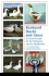 Backyard Ducks and Geese: a Practical Guide for the Enthusiast and the Smallholder