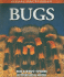 Visual Factfinder: Bugs