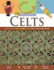 Celts (Hands-on History)