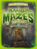 Maths Quest: the Mansion of Mazes