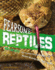 Fearsome Reptiles