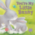 Youre My Little Bunny By Freedman, Claire ( Author ) on Feb-28-2010, Board Book