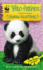 Wwf Wild Friends: Panda Playtime: Book 1