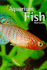Aquarium Fish (Identifiers S. )