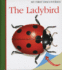 The Ladybird (My First Discoveries)