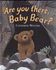 Are You There, Baby Bear? (Alfie Bear)