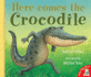Here Comes the Crocodile