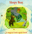 Sleepy Bear (Magic Windows: Pull the Tabs! Change the Pictures! )