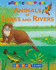 Look and Learn About Animals of Lakes and Rivers (Look and Learn About...) (Look & Learn)