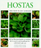 Hostas: at-a-Glance Guide to Varieties, Cultivation and Care