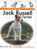 Living With a Jack Russell Terrier