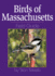 Birds of Massachusetts: Field Guide