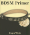 Bdsm Primer