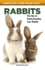 Rabbits: the Key to Understanding Your Rabbit