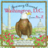 Journey Around Washington D.C. From a to Z