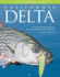 Fly Fishing the California Delta (No Nonsense Fly Fishing Guidebooks)