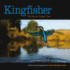 Kingfisher: Tales From the Halcyon River