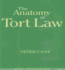 The Anatomy of Tort Law