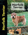 Norfolk Terrier: a Comprehensive Guide to Owning and Caring for Your Dog (Companionhouse Books) History, Breed Characteristics, Raising a Puppy, Training, Showing, and More